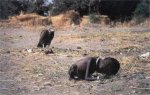 A vulture watches a child in South Sudan